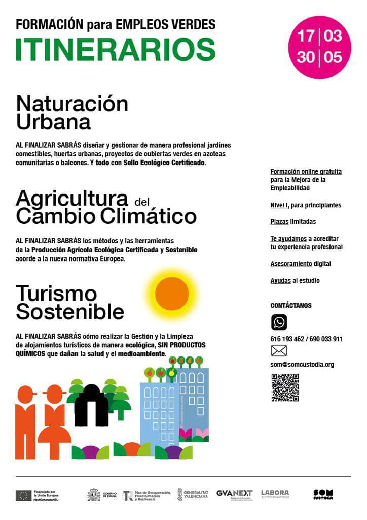 Se describe en la imagen en qué consiste la formación para empleos verdes y los itinerarios que tiene. Se describirán con más detalle a continuación.