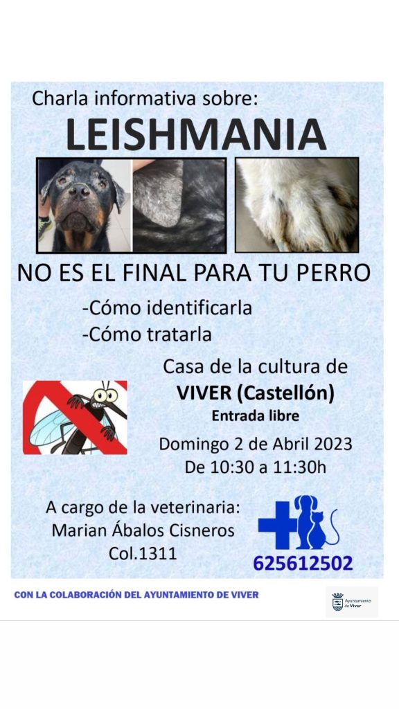 Cartel charla informativa sobre la leishmania, el domingo día dos de abril, a las diez y media de la mañana, en la Casa de la Cultura de Viver (Castellón)